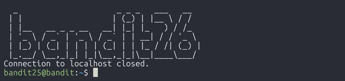 bandit25-testing-fail