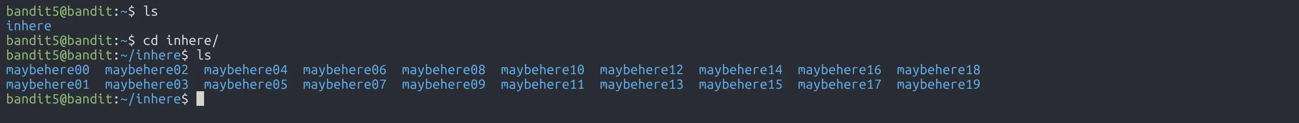 inhere-folder-bandit5