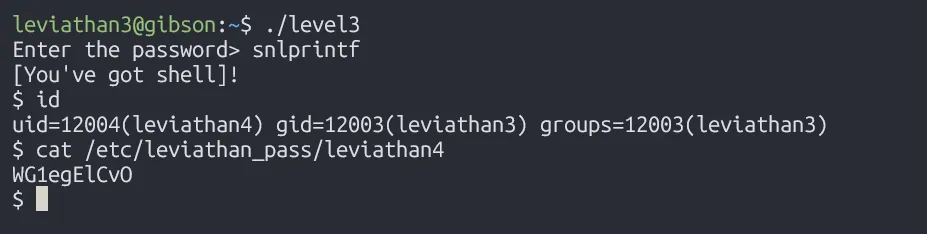 level3-solution