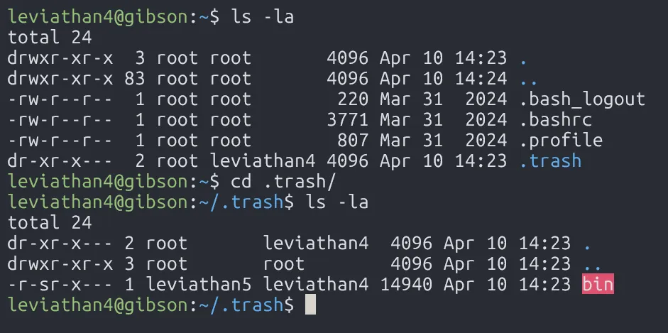 level4-home-directory