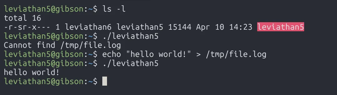 level5-home-directory