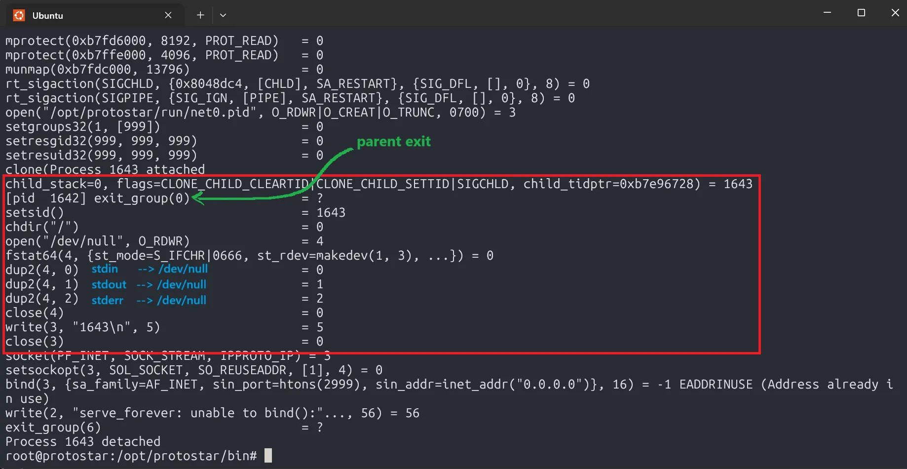 strace-orphan-process